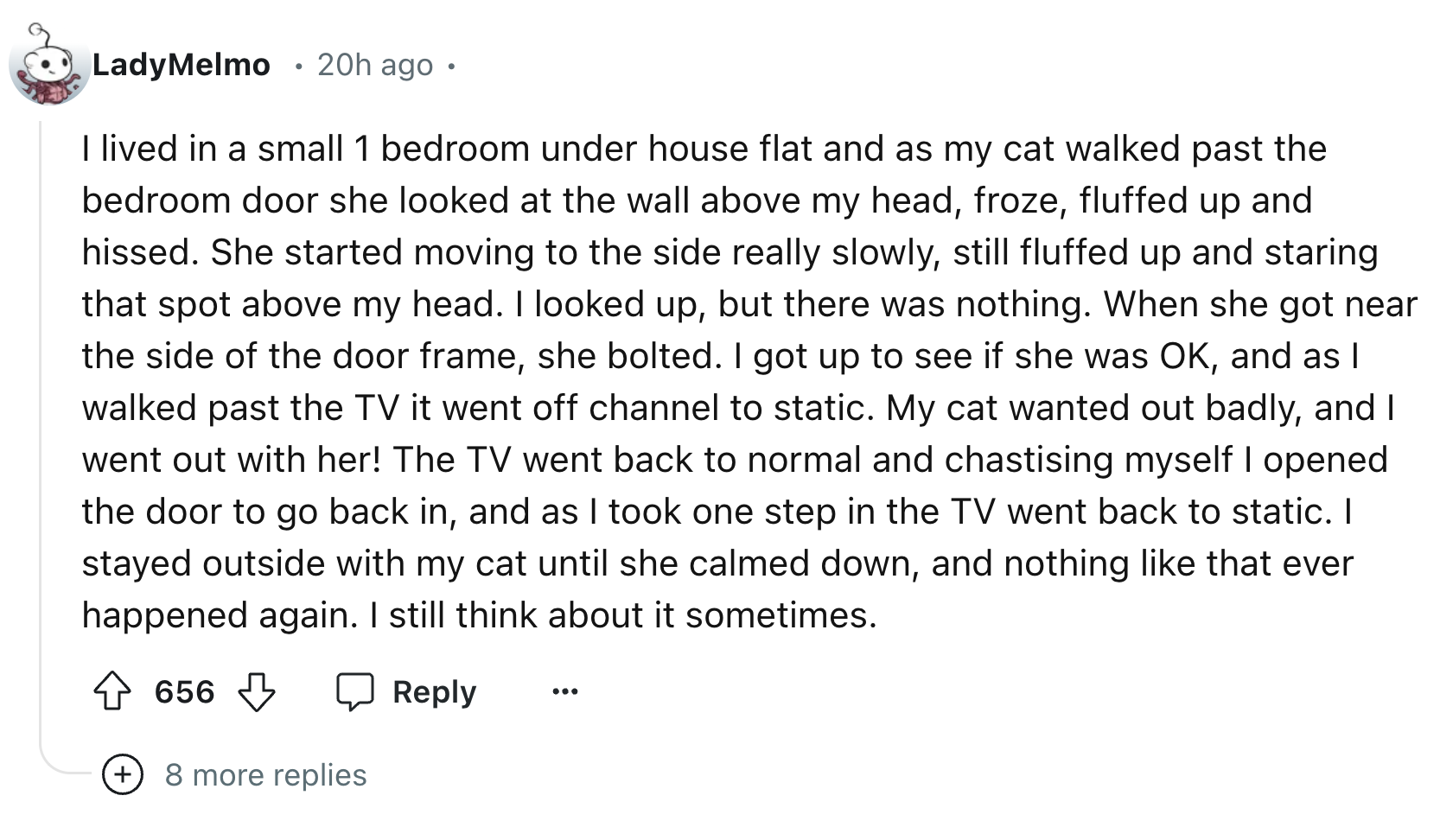 screenshot - LadyMelmo 20h ago. I lived in a small 1 bedroom under house flat and as my cat walked past the bedroom door she looked at the wall above my head, froze, fluffed up and hissed. She started moving to the side really slowly, still fluffed up and